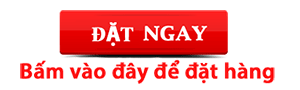 Đặt hàng ngựa thái Đặt hàng ngựa thái