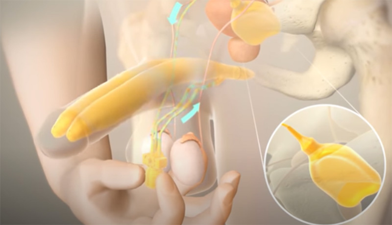 Dương vật khỏe mạnh nhờ ngựa thái Dương vật khỏe mạnh nhờ ngựa thái
